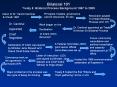 Bilateral 101 Treaty 8 Bilateral Process Background 1997 to 2008 PowerPoint PPT Presentation