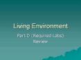 Living Environment PowerPoint PPT Presentation