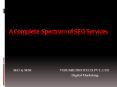Professional SEO Services By Vidushi Infotech PowerPoint PPT Presentation