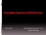 Professional SEO Services By Vidushi Infotech