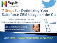 salesforce crm online training@magnific