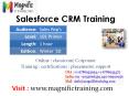 Salesforce online training classes@magnific PowerPoint PPT Presentation