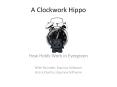 A Clockwork Hippo PowerPoint PPT Presentation