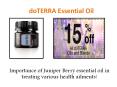 Importance of Juniper Berry essential oil PowerPoint PPT Presentation