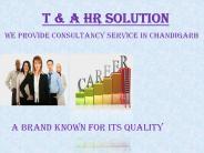 T & A HR Solutions