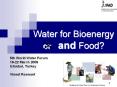 Water for Bioenergy or  and Food? PowerPoint PPT Presentation