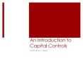 An Introduction to Capital Controls PowerPoint PPT Presentation