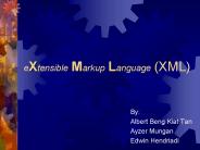 eXtensible Markup Language (XML)