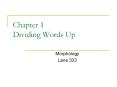 Chapter 1 Dividing Words Up PowerPoint PPT Presentation