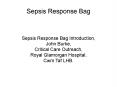 Sepsis Response Bag PowerPoint PPT Presentation