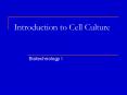 Introduction to Cell Culture PowerPoint PPT Presentation