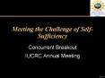 Meeting the Challenge of Self-Sufficiency PowerPoint PPT Presentation