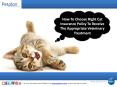 How to Choose Right Cat Insurance Policy to Receive the Appropriate Veterinary Treatment PowerPoint PPT Presentation