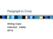 Paragraph to Essay