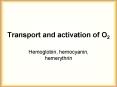 Transport and activation of O2 PowerPoint PPT Presentation