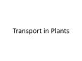 Transport in Plants PowerPoint PPT Presentation