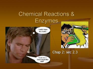 Chemical Reactions