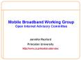 Mobile Broadband Working Group Open Internet Advisory Committee PowerPoint PPT Presentation