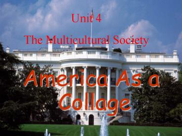 The Multicultural Society