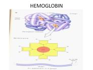 HEMOGLOBIN