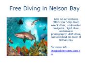 Free Diving in Nelson Bay