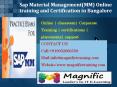 Sap Material Management(MM) Online training and Certification in Bangalore PowerPoint PPT Presentation