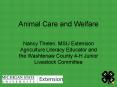 Animal Care and Welfare PowerPoint PPT Presentation