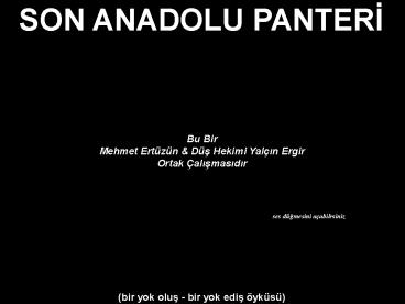 Son Anadolu Panteri