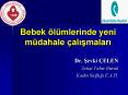 Bebek  PowerPoint PPT Presentation