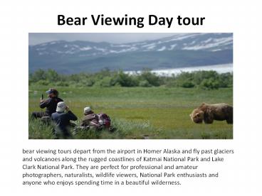 Bear Viewing Day tour