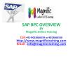 sap bpc online training and corporate training PowerPoint PPT Presentation