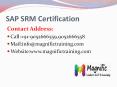 sap srm online training and corporate training PowerPoint PPT Presentation