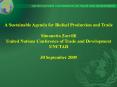 A Sustainable Agenda for Biofuel Production and Trade Simonetta Zarrilli United Nations Conference of Trade and Development PowerPoint PPT Presentation