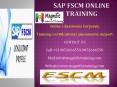 Sap fscm online training PowerPoint PPT Presentation