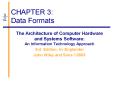 CHAPTER 3: Data Formats PowerPoint PPT Presentation