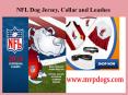 NFL Team with Dog Jersey, Collar and Leashes PowerPoint PPT Presentation