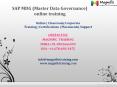 sap mdg ( master data governance) online training PowerPoint PPT Presentation