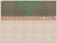SEO Services : Makes Your Website A Hit