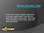 Car Logo Valve Caps
