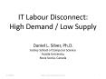 IT Labour Disconnect: High Demand / Low Supply PowerPoint PPT Presentation