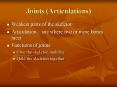 Joints (Articulations) PowerPoint PPT Presentation