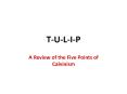 T-U-L-I-P PowerPoint PPT Presentation