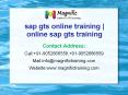 sap gts online training online sap gts trainng PowerPoint PPT Presentation