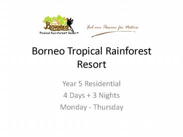 Borneo Tropical Rainforest Resort