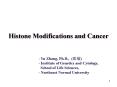 Histone Modifications and Cancer PowerPoint PPT Presentation