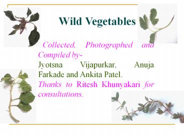 Wild Vegetables
