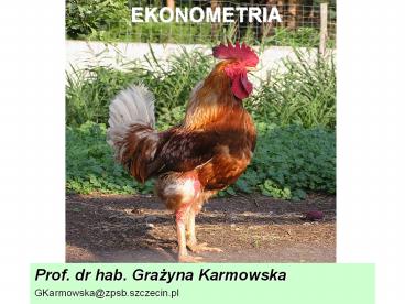 EKONOMETRIA