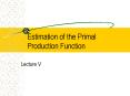 Estimation of the Primal Production Function PowerPoint PPT Presentation