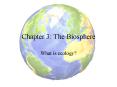 Chapter 3: The Biosphere PowerPoint PPT Presentation