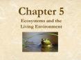Ecosystems and the Living Environment PowerPoint PPT Presentation
